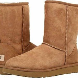 BRAND NEW Uggs with Box